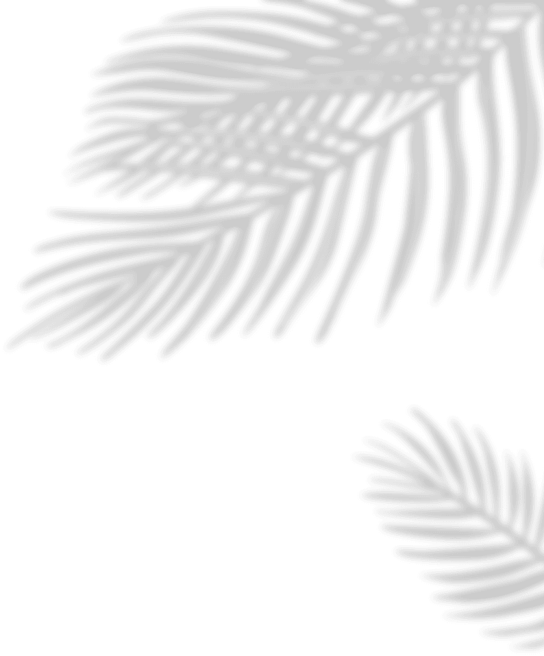 ZENESIS PALMERA