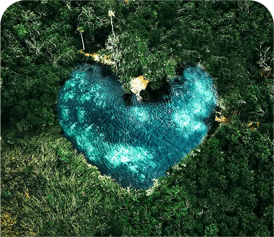 Propiedades eco-friendly en Tulum con diseño sostenible y materiales ecológicos.